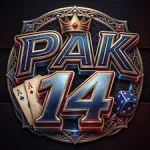 pak14 game