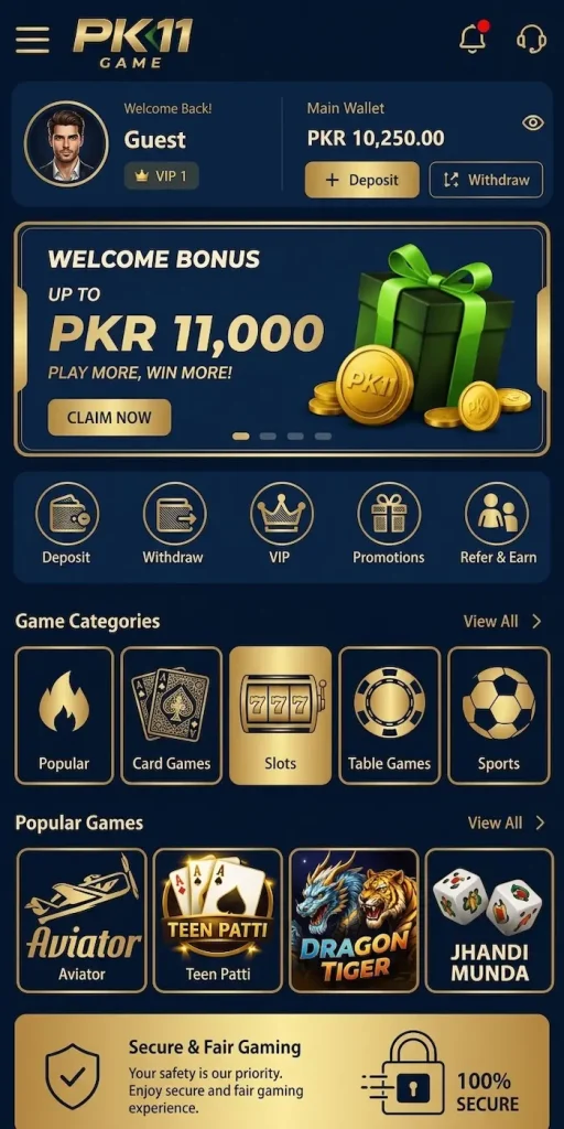 pk11 game